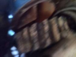 Skup Złomu Grubego Duczki