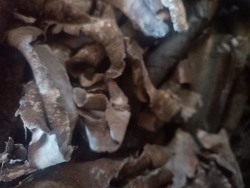 Skup Złomu Grubego Brwinów