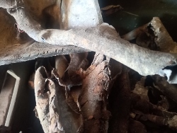 Skup Złomu Grubego Dziekanów Leśny