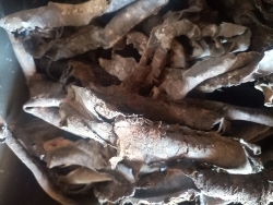 Skup Złomu Grubego Michałowice