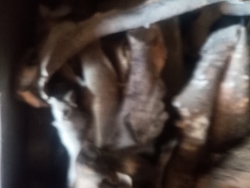 Skup Złomu Grubego Otrębusy