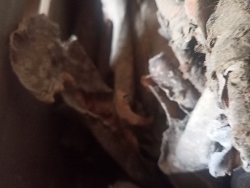 Skup Złomu Grubego Słupno