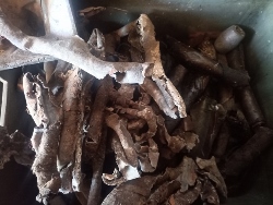 Skup Złomu Grubego Wieliszew