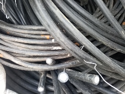 Skup Kabli Aluminiowych Praga Północ
